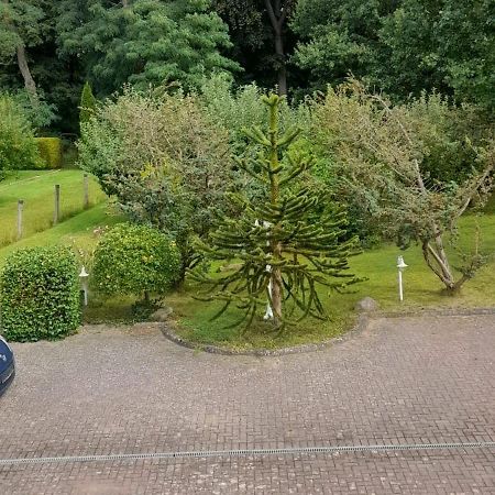 Pension Zum Park Goldberg Esterno foto