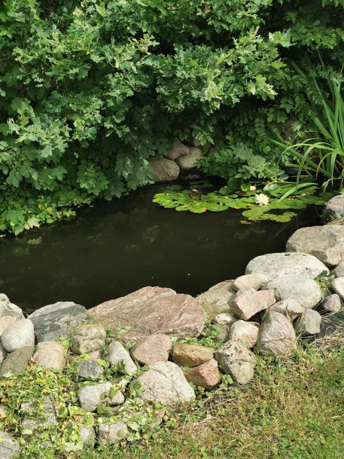 Pension Zum Park Goldberg Esterno foto