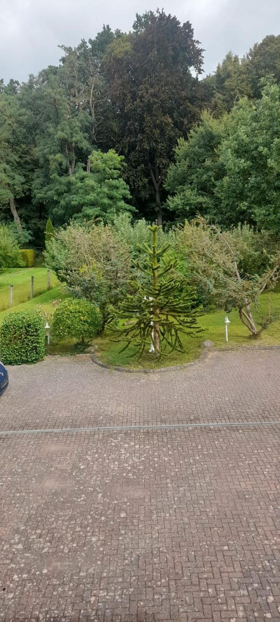 Pension Zum Park Goldberg Esterno foto